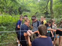 whatsapp_2 (41).jpeg